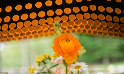 Beautiful-lighting all over the estate at Roxbury Barn & Estate